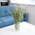 شقة Myapartment In The Center