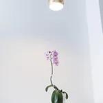 شقة Myapartment In The Center *