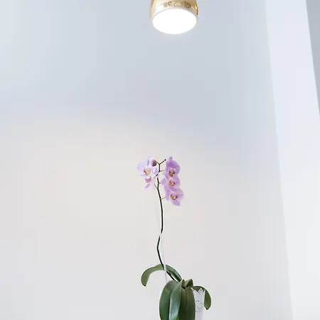 Myapartment In The Center Apartment *