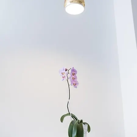 Apartment Myapartment In The Center Ceske Budejovice