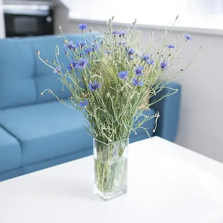 Myapartment In The Center * Ческе-Будеёвице