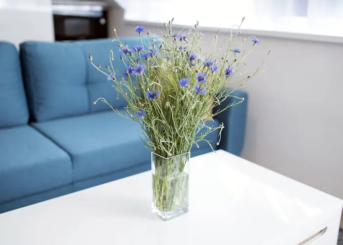 Апартаменти Myapartment In The Center