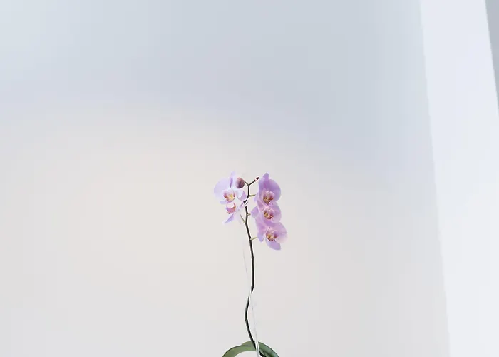 아파트 Myapartment In The Center *