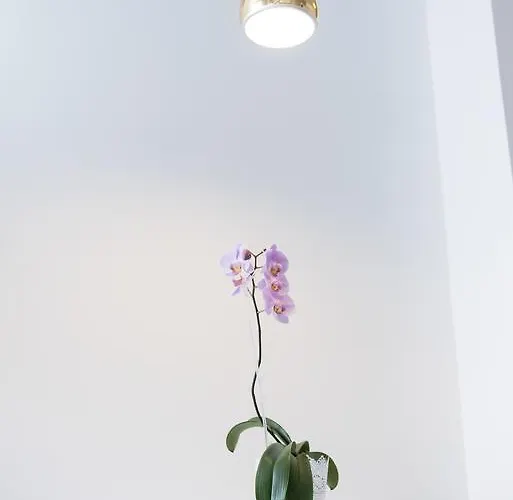 Апартаменти Myapartment In The Center Чеське Будєйовіце