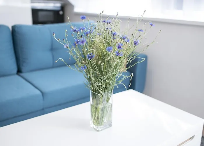 Myapartment In The Center * 체스케부데요비체