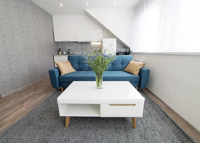 Myapartment In The Center *